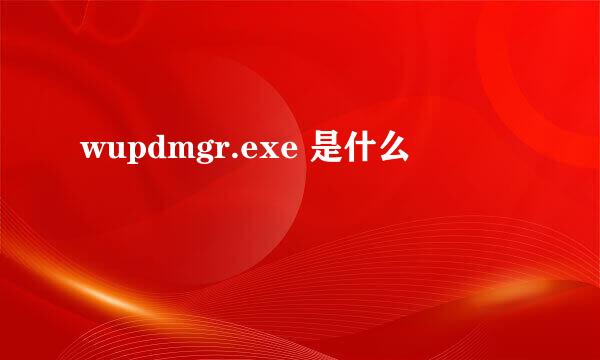 wupdmgr.exe 是什么