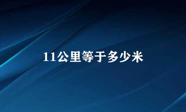 11公里等于多少米