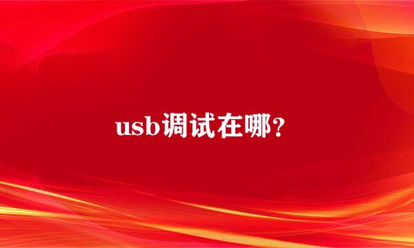 usb调试在哪？