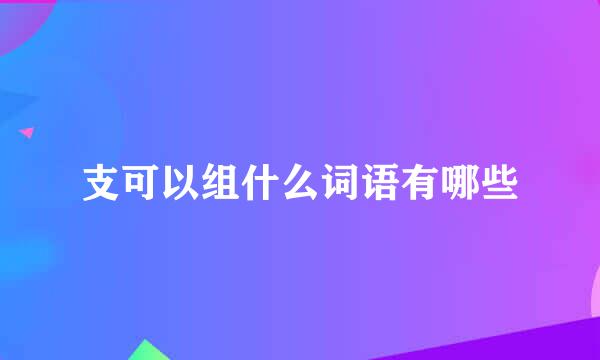 支可以组什么词语有哪些