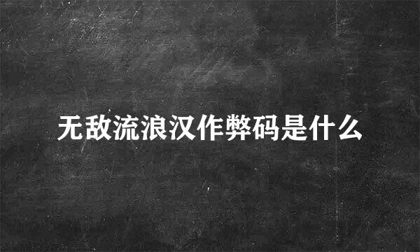 无敌流浪汉作弊码是什么