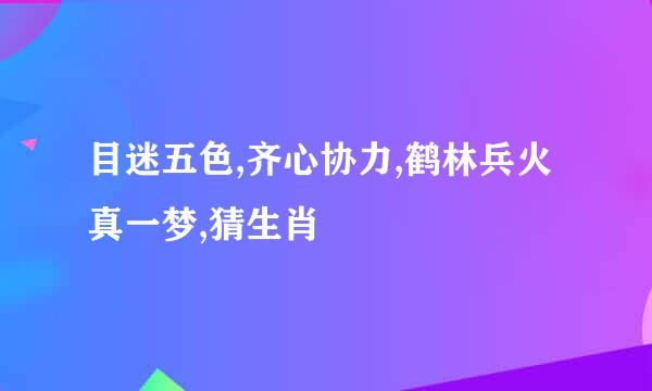 目迷五色,齐心协力,鹤林兵火真一梦,猜生肖