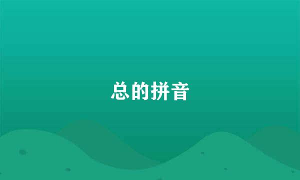 总的拼音