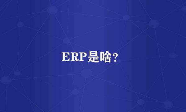 ERP是啥？