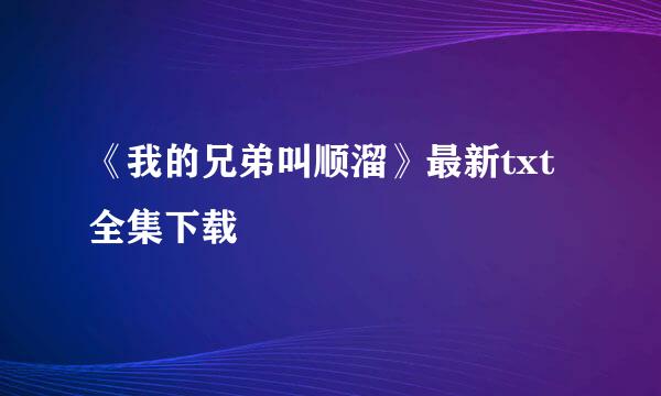 《我的兄弟叫顺溜》最新txt全集下载