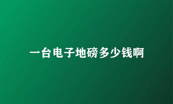 一台电子地磅多少钱啊