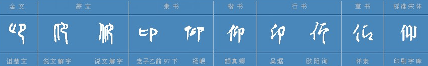 “仰”字能组什么词？