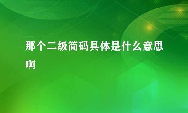 那个二级简码具体是什么意思啊