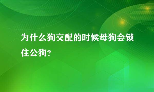 为什么狗交配的时候母狗会锁住公狗？