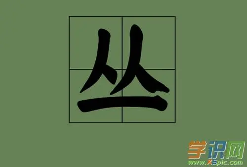 疏字的组词