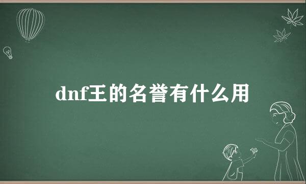 dnf王的名誉有什么用