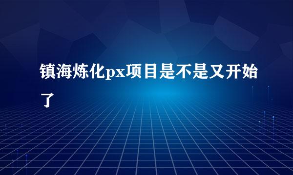 镇海炼化px项目是不是又开始了