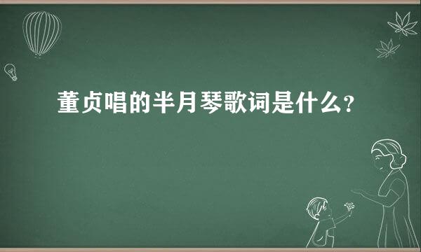 董贞唱的半月琴歌词是什么？