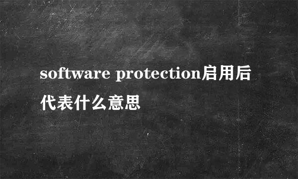 software protection启用后代表什么意思