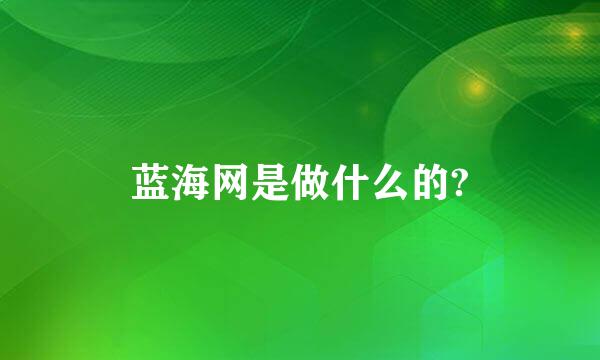 蓝海网是做什么的?