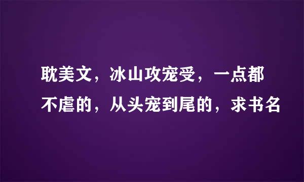 耽美文，冰山攻宠受，一点都不虐的，从头宠到尾的，求书名