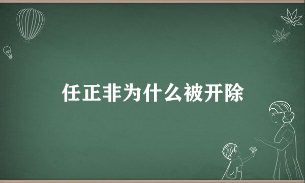 任正非为什么被开除