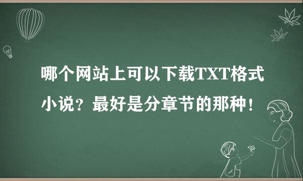 哪个网站上可以下载TXT格式小说？最好是分章节的那种！