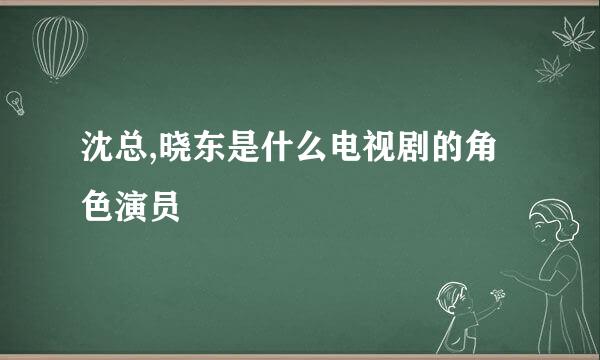 沈总,晓东是什么电视剧的角色演员