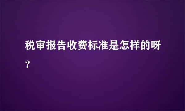 税审报告收费标准是怎样的呀？