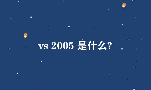 vs 2005 是什么?