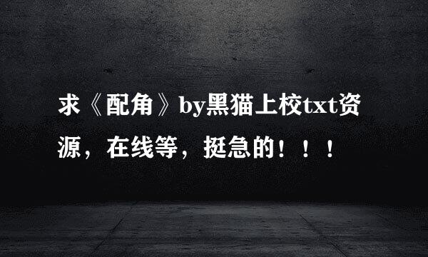 求《配角》by黑猫上校txt资源，在线等，挺急的！！！