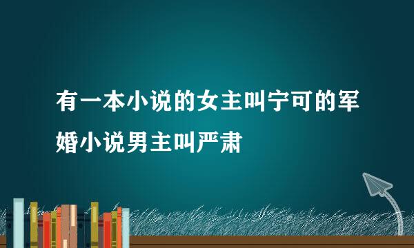 有一本小说的女主叫宁可的军婚小说男主叫严肃