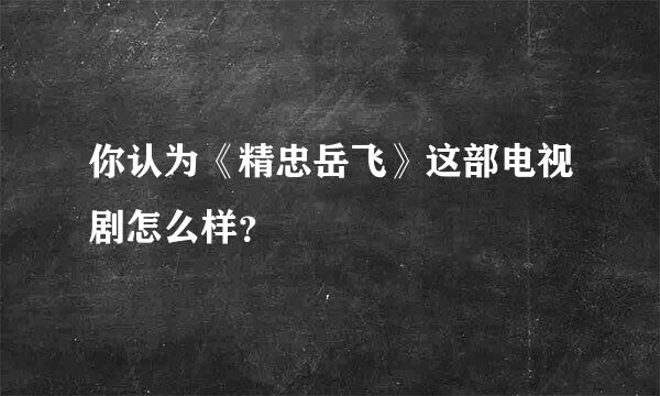 你认为《精忠岳飞》这部电视剧怎么样？