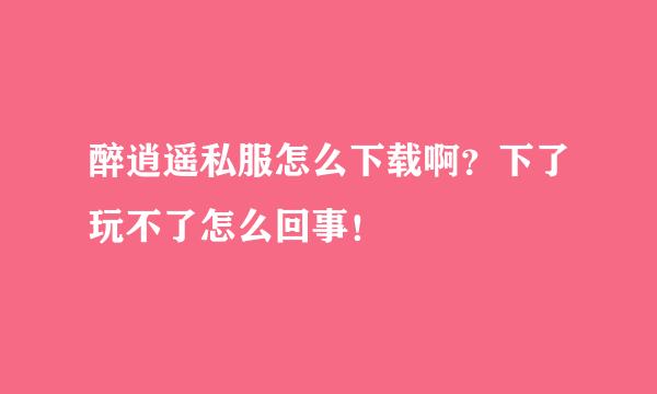 醉逍遥私服怎么下载啊？下了玩不了怎么回事！