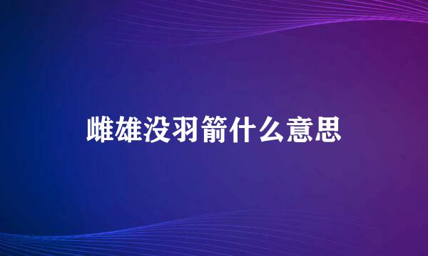 雌雄没羽箭什么意思