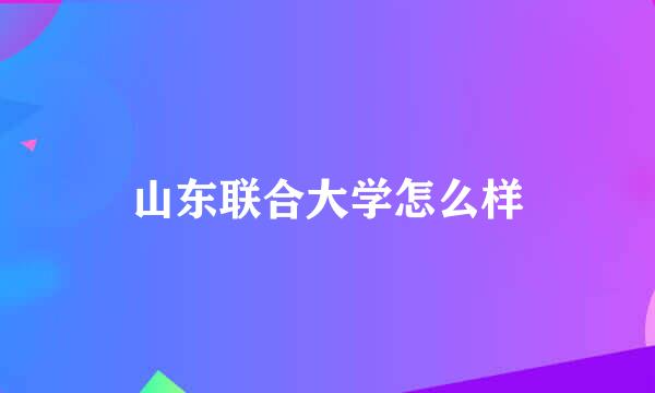 山东联合大学怎么样