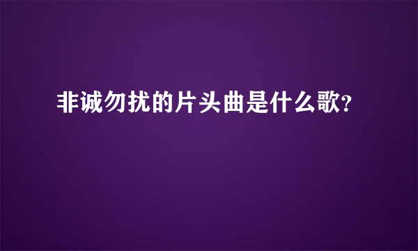 非诚勿扰的片头曲是什么歌？