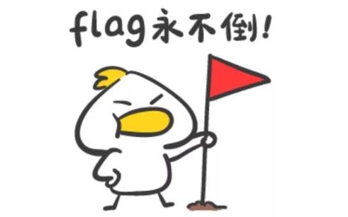 vb中的flag是什么意思？能解释下图的意思和各个flag是什么吗？完全看不懂。谢谢了。