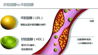 醇的读音