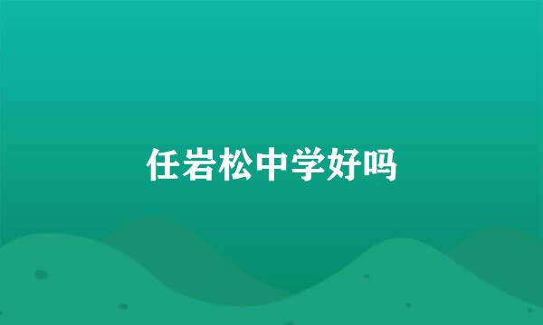 任岩松中学好吗