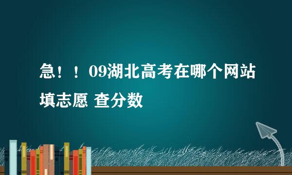 急！！09湖北高考在哪个网站填志愿 查分数