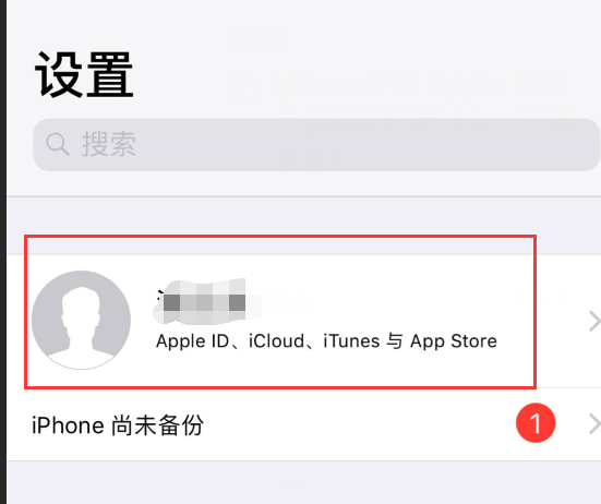 iphone手机 Apple ID用户名和密码是什么，在哪里看？