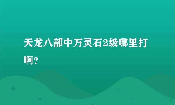 天龙八部中万灵石2级哪里打啊？