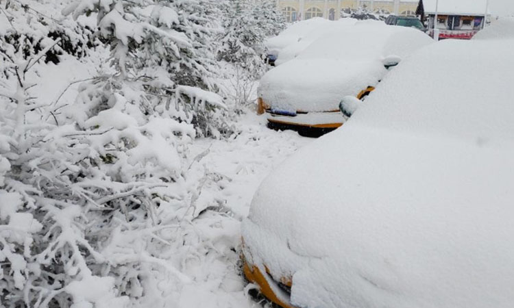 漠河降雪量已达入秋最大级别，未来几天还会持续降雪吗？