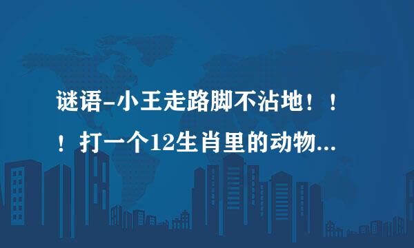 谜语-小王走路脚不沾地！！！打一个12生肖里的动物 并说说为什么！！谢谢