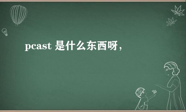 pcast 是什么东西呀，