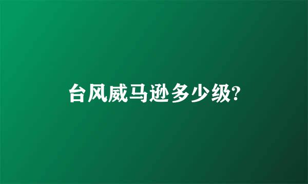 台风威马逊多少级?