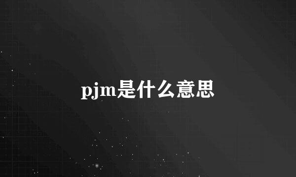 pjm是什么意思