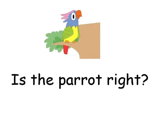 parrot怎么读