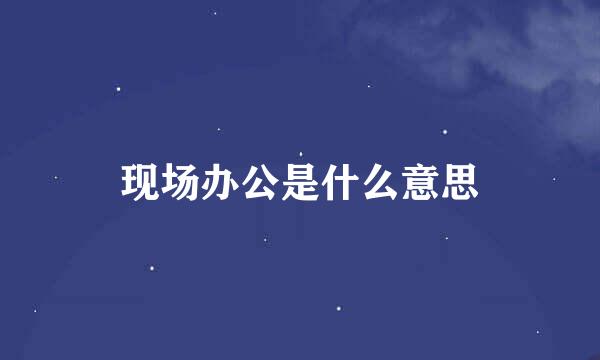 现场办公是什么意思