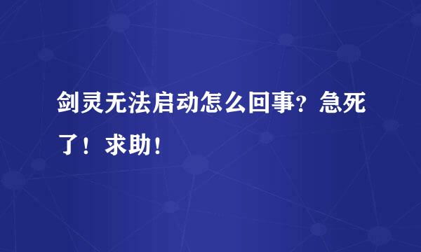 剑灵无法启动怎么回事？急死了！求助！