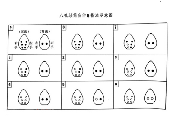 埙的指法图