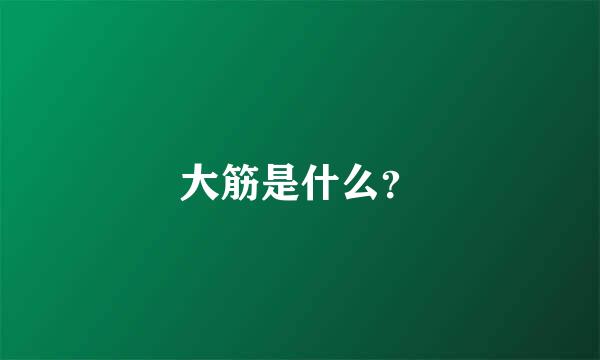 大筋是什么？