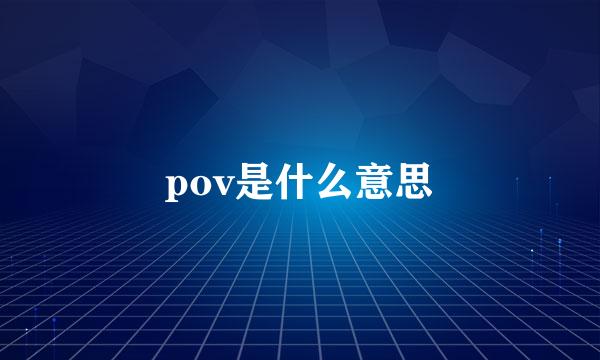 pov是什么意思