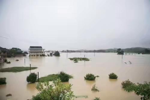 尼泊尔连续降雨致大坝决堤，是否有造成人员伤亡的情况？